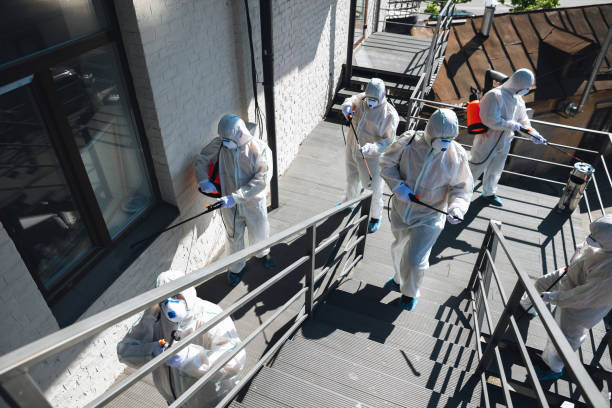 Mold Removal for HVAC Installations in Broxton, GA