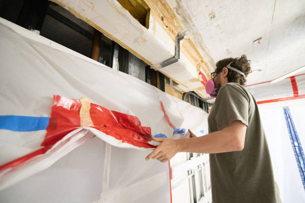 Best Black Mold Removal  in Broxton, GA