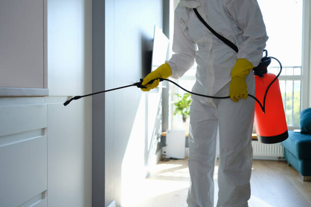 Forensic Mold Investigation in Broxton, GA
