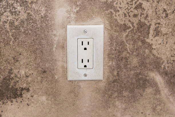 Mold Remediation for Rental Properties in Broxton, GA